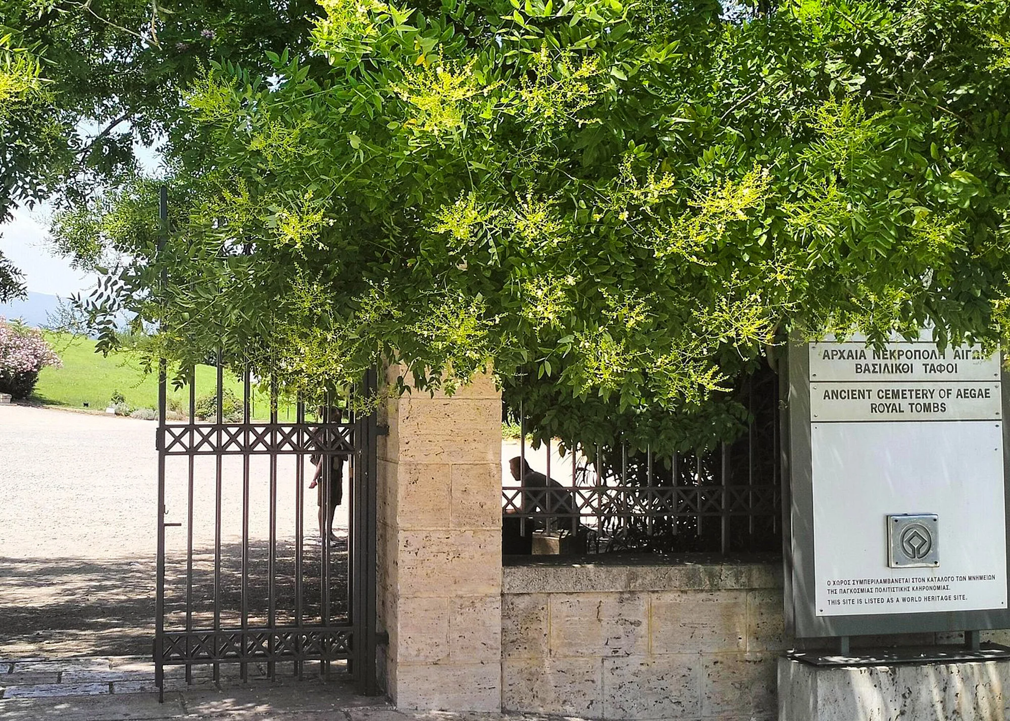 alexander the great pella vergina private tour from thessaloniki 06
