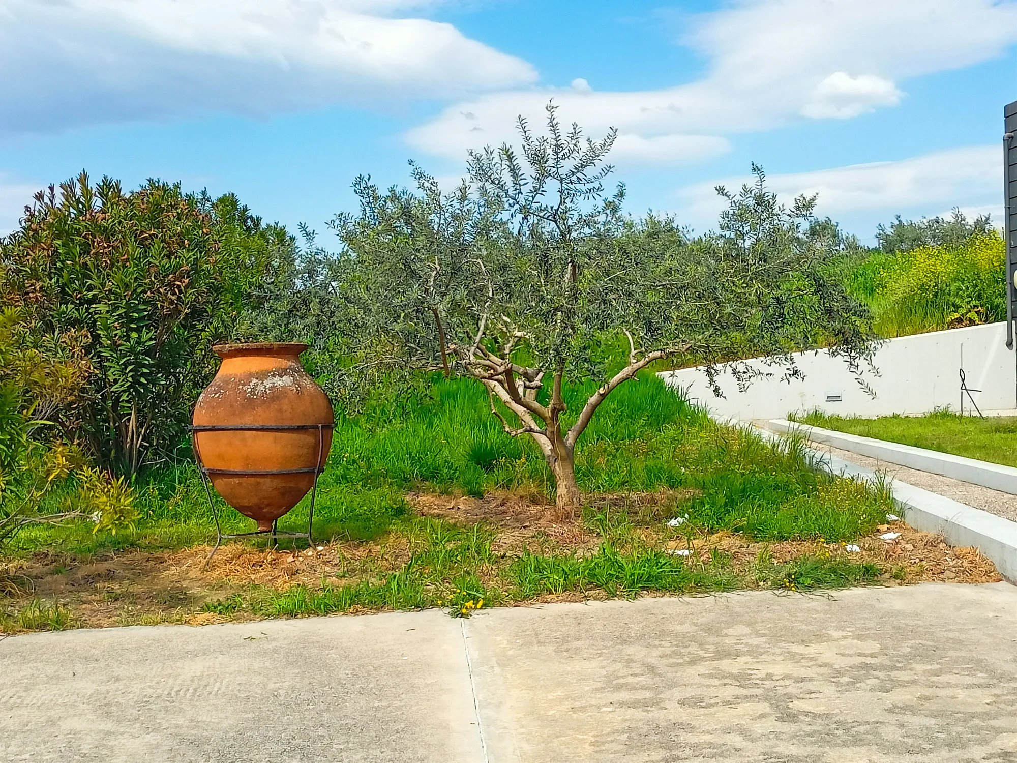 alexander the great pella vergina private tour from thessaloniki 15
