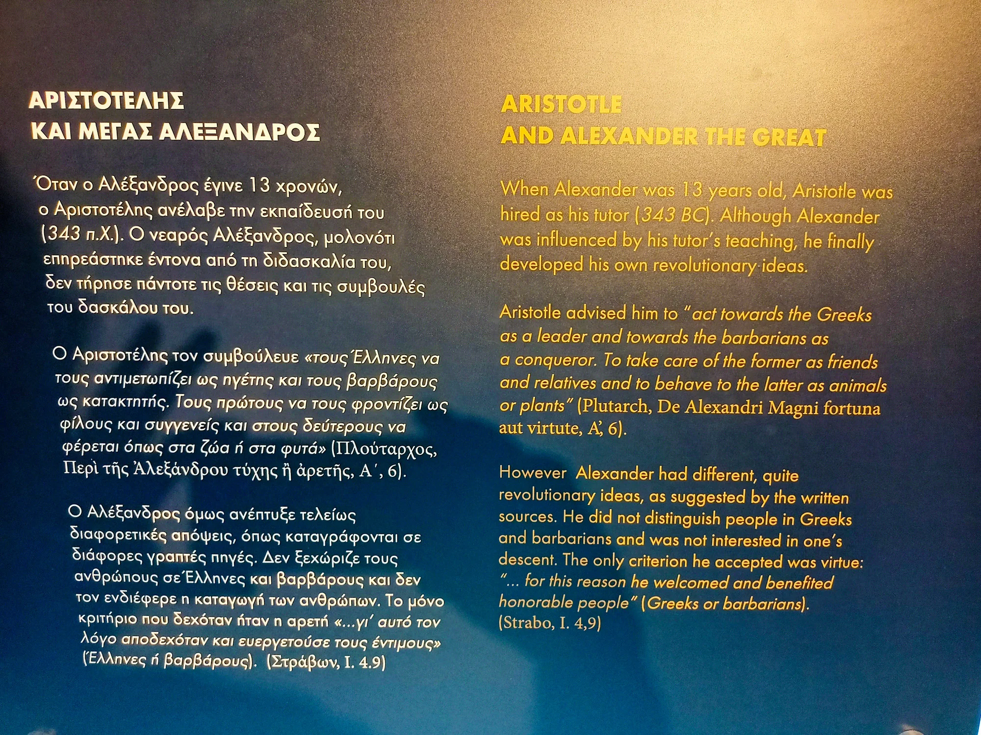 alexander the great pella vergina private tour from thessaloniki 36