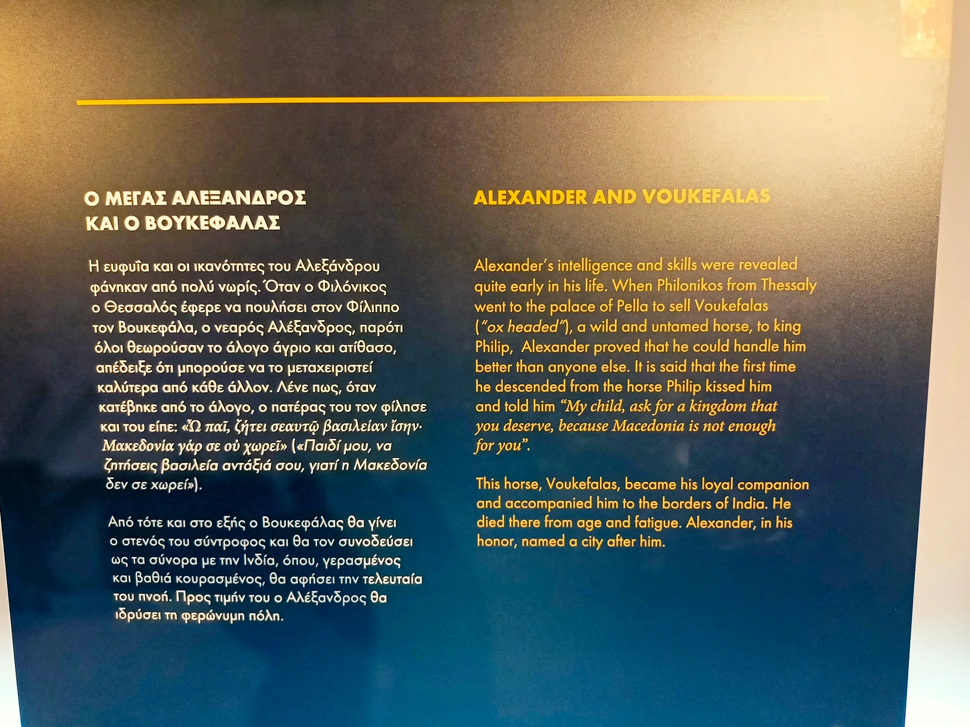 alexander the great pella vergina private tour from thessaloniki 37