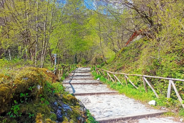 mount olympus private tour from thessaloniki 01