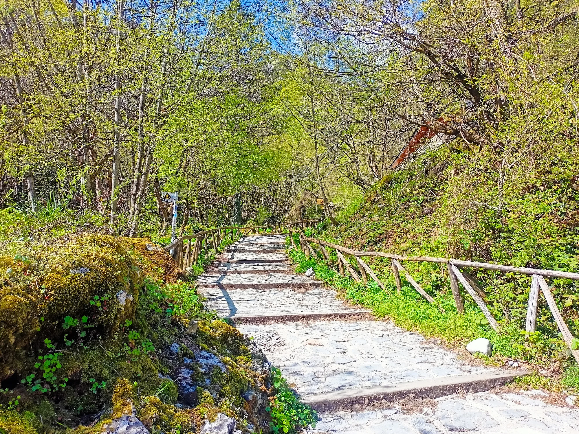 mount olympus private tour from thessaloniki 01