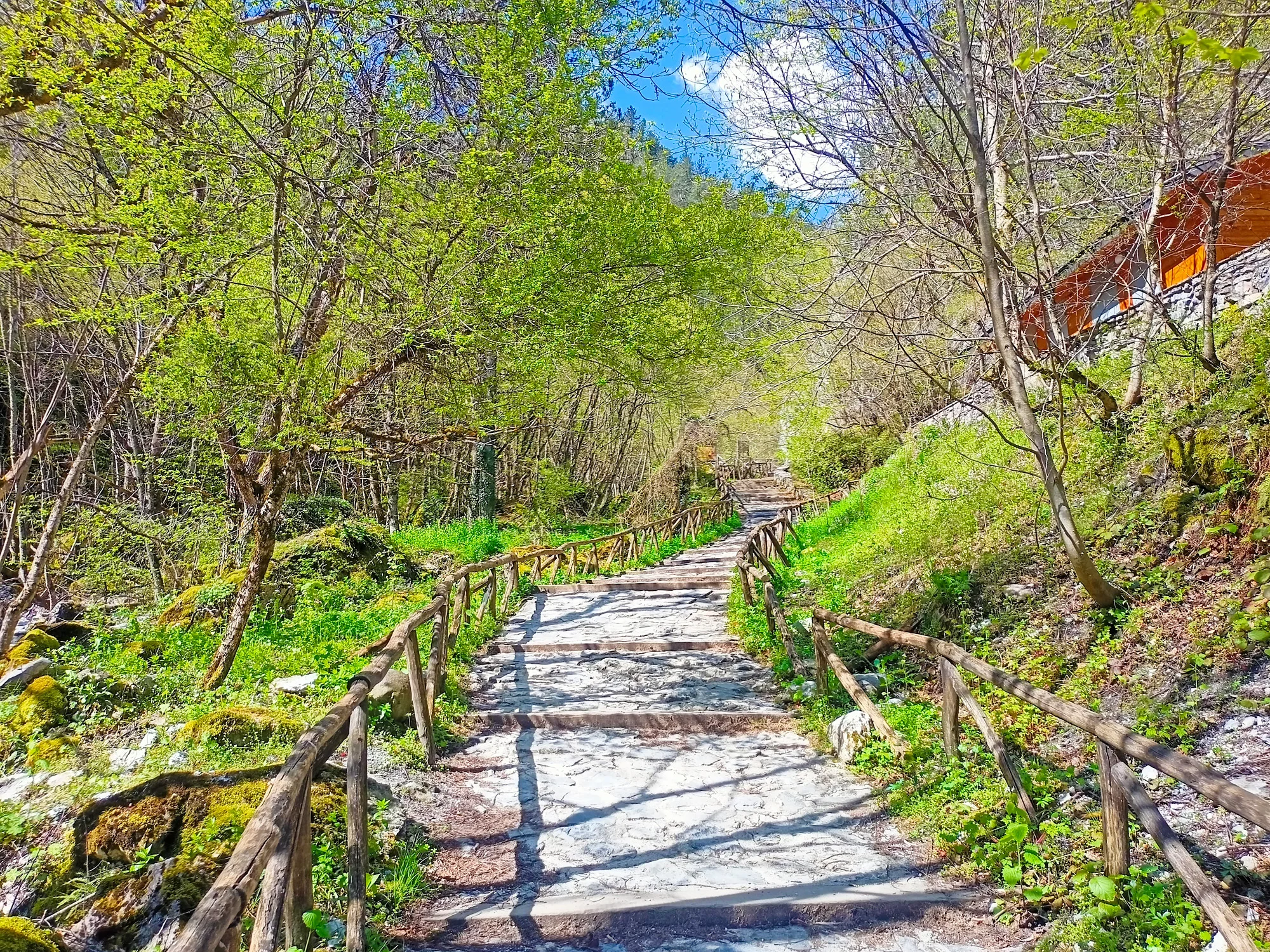 mount olympus private tour from thessaloniki 02