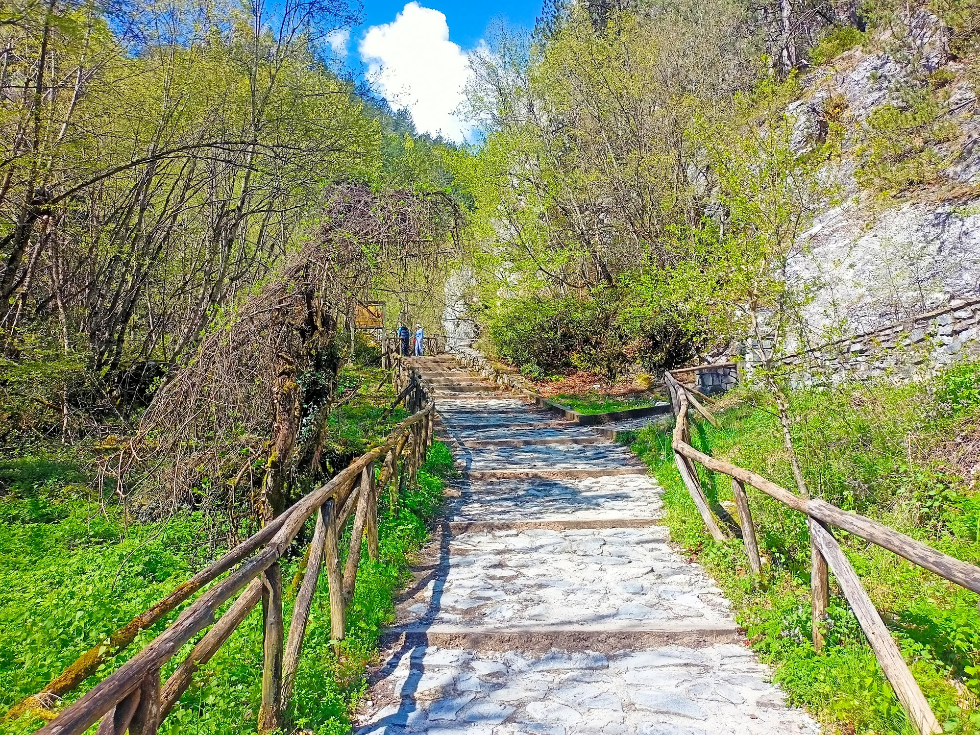 mount olympus private tour from thessaloniki 03
