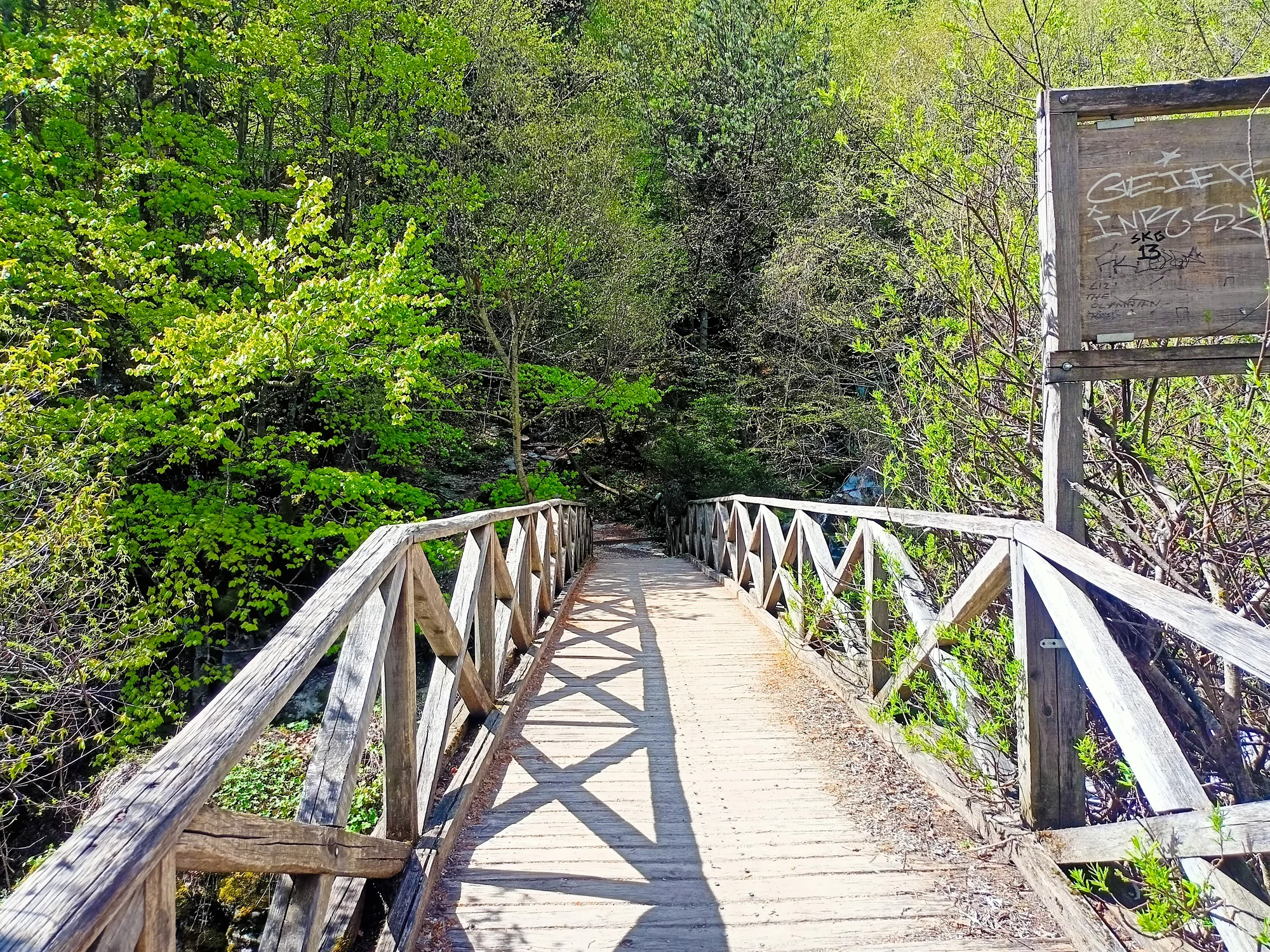 mount olympus private tour from thessaloniki 05