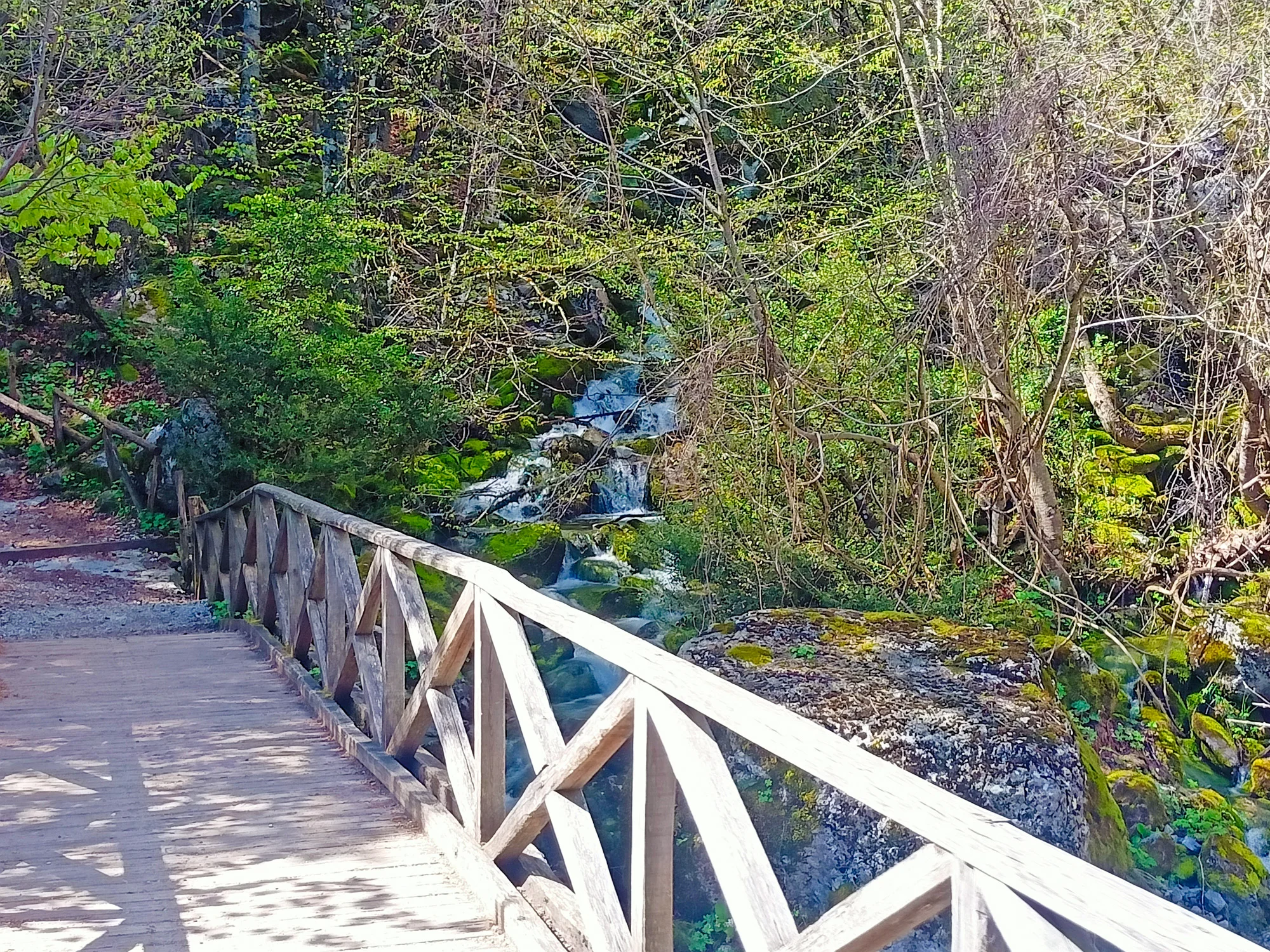 mount olympus private tour from thessaloniki 06
