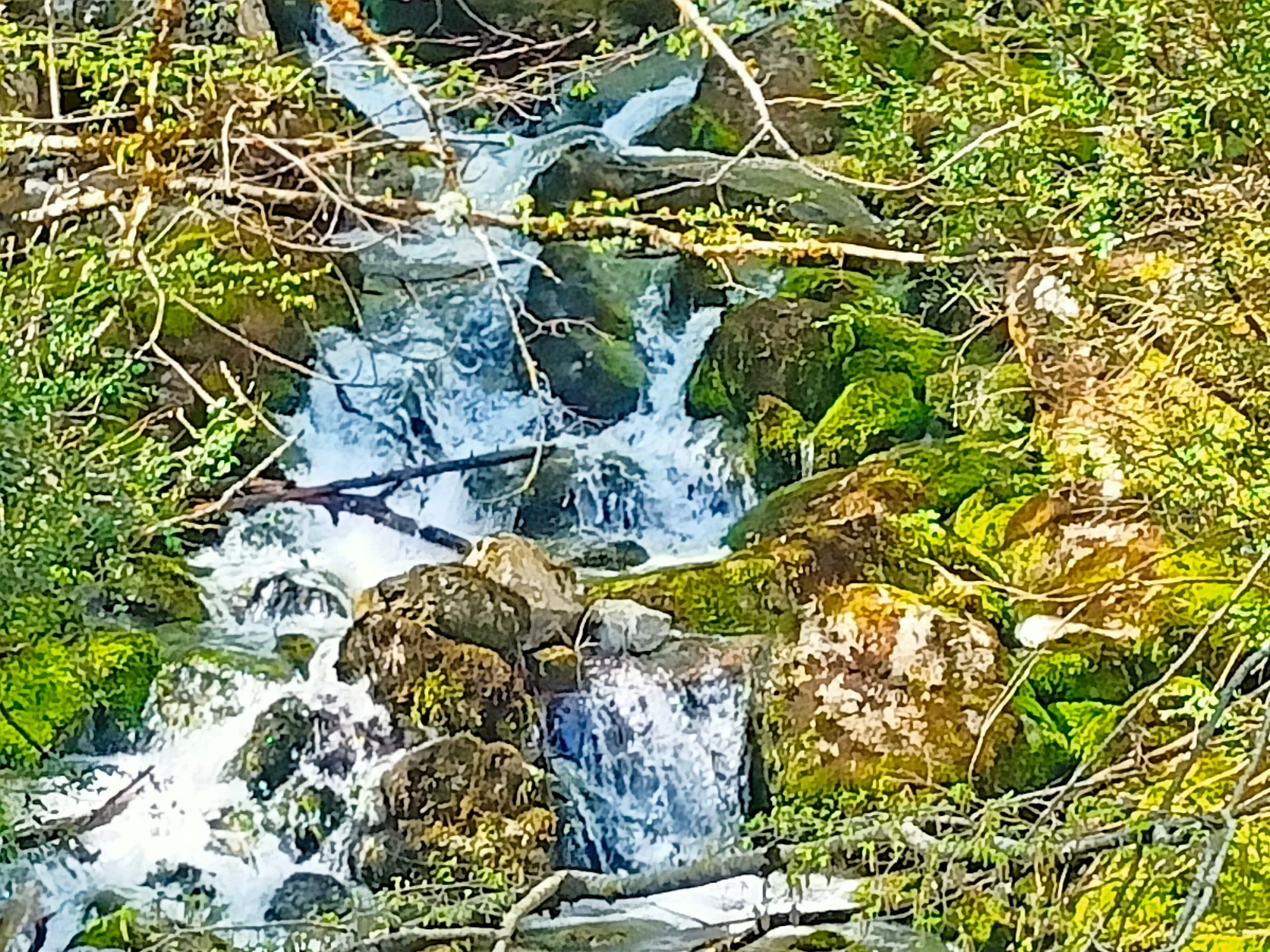 mount olympus private tour from thessaloniki 11