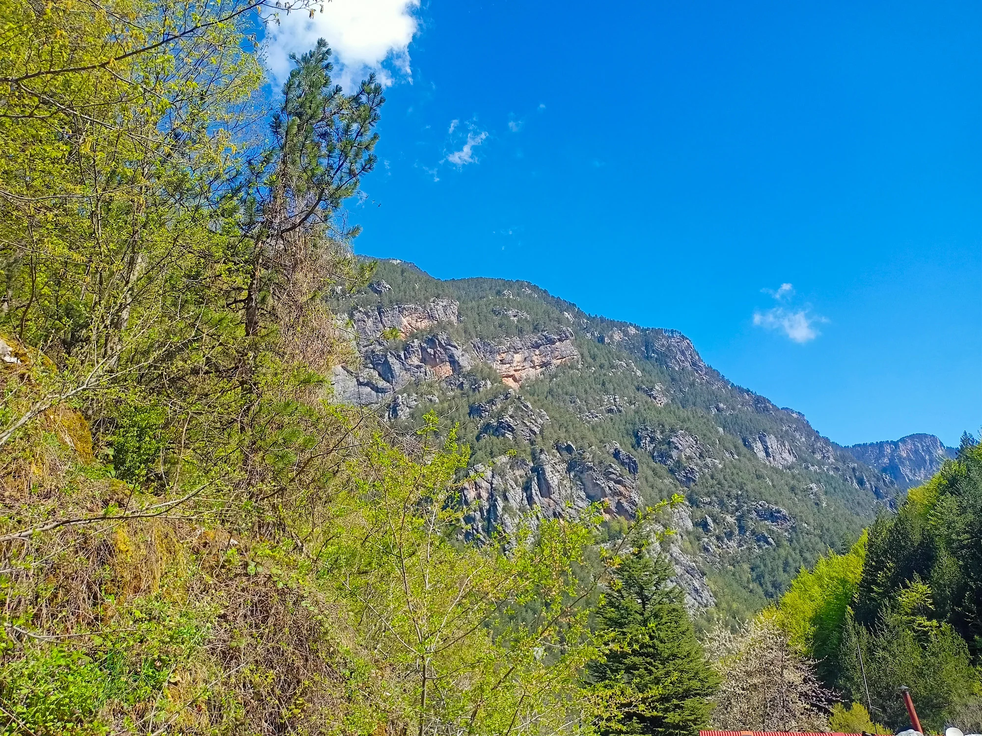 mount olympus private tour from thessaloniki 18