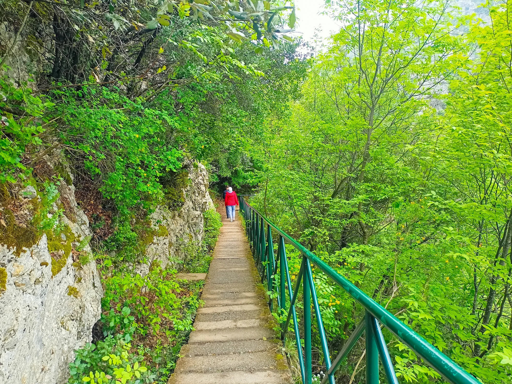 mount olympus private tour from thessaloniki 23