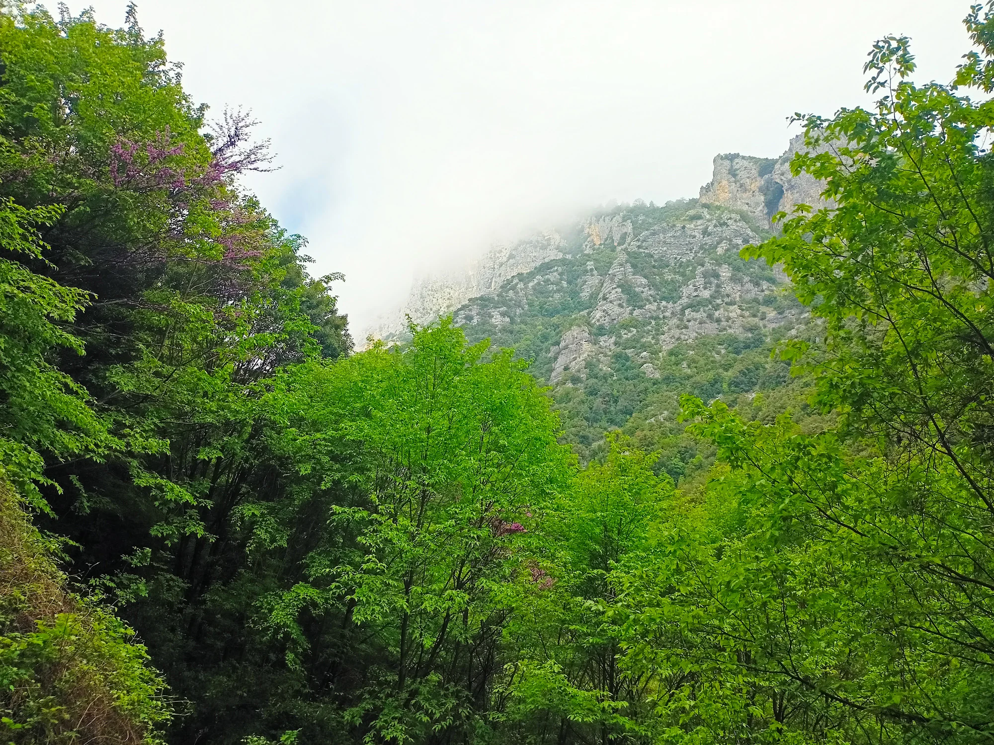 mount olympus private tour from thessaloniki 25