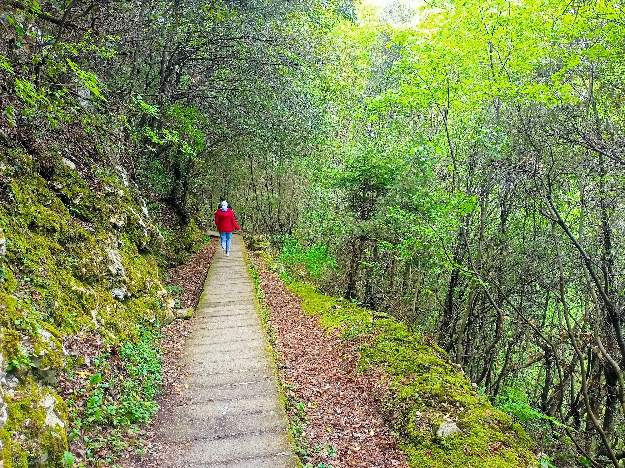 mount olympus private tour from thessaloniki 26